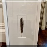 A36. Framed feather print. 
